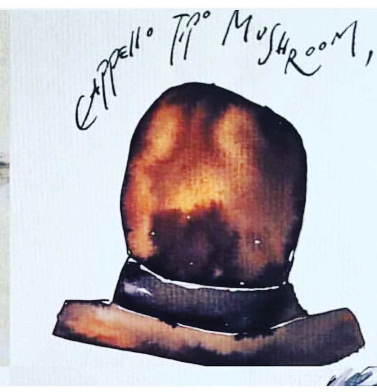 Cappello Tipo Mushroom