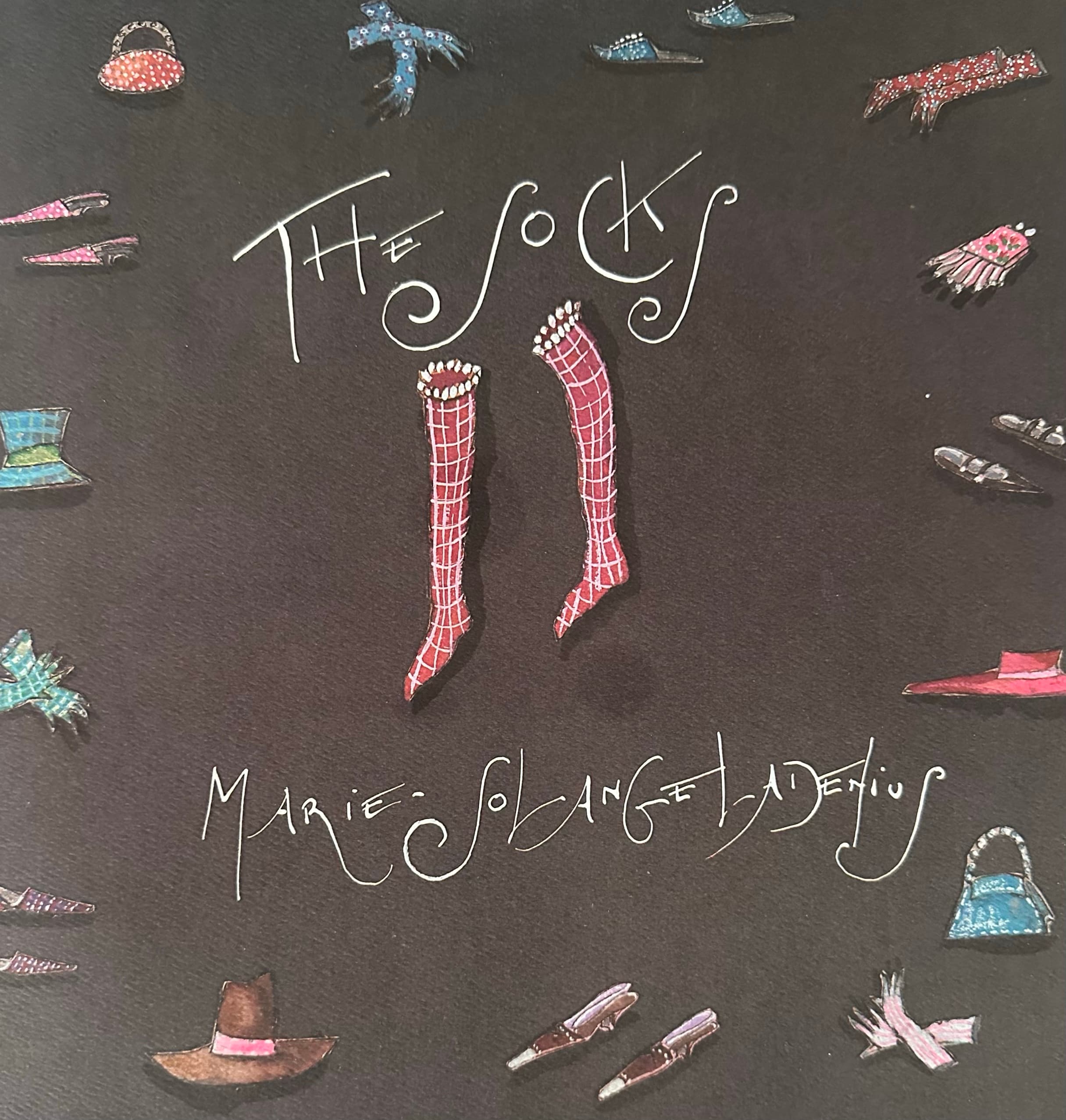 The Socks - Book Cover