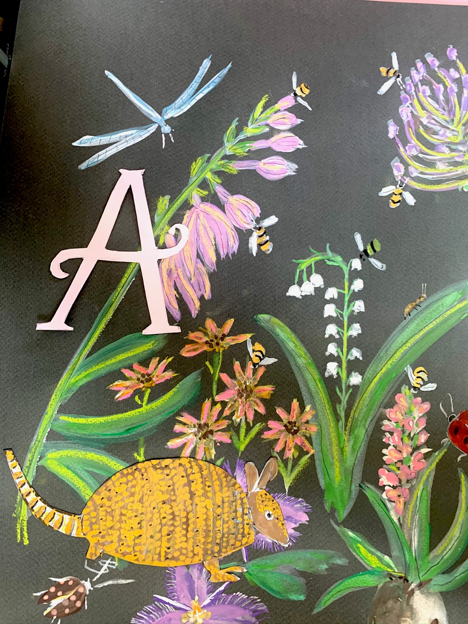 Alphabet Collection