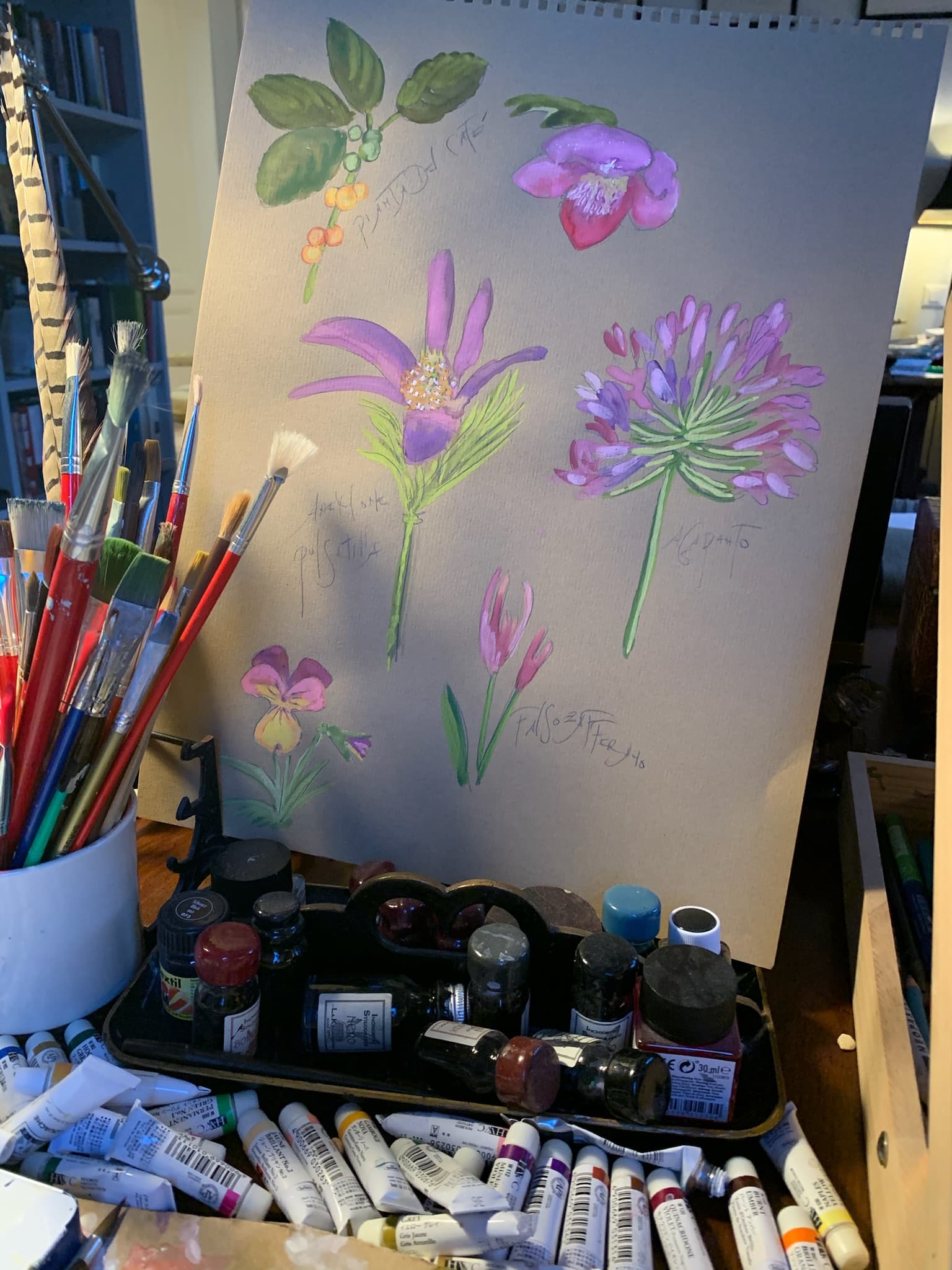 Flowers & Garden